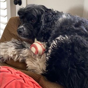 Meet your Posher, !                       kevin